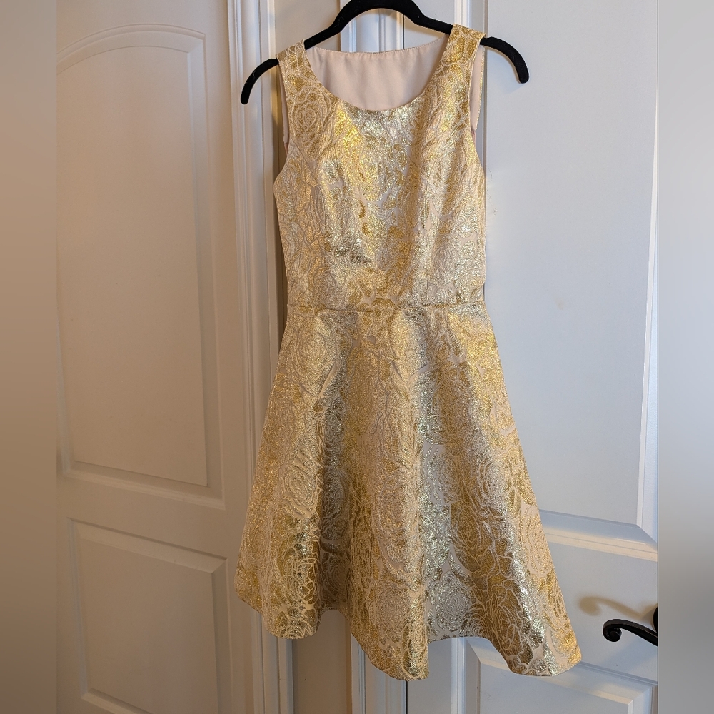 Elegant Gold Lace Kids Dress